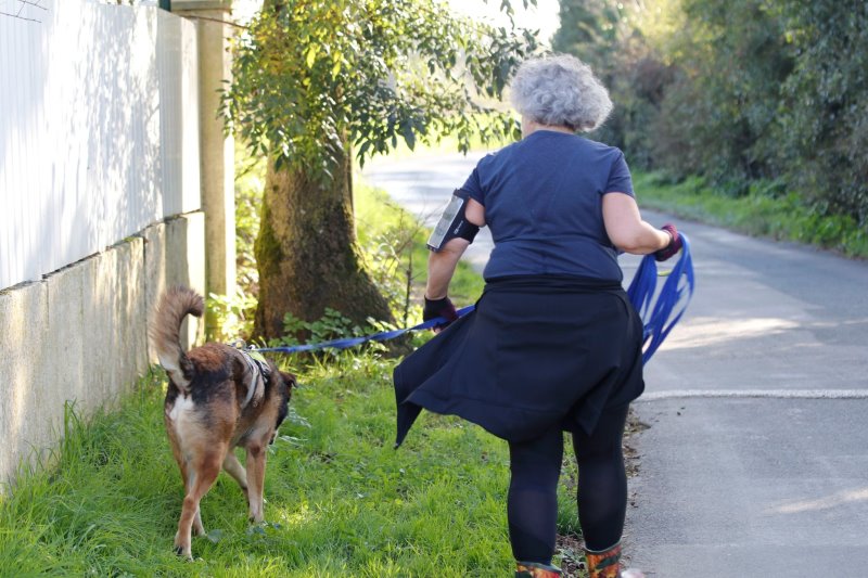 Refuge SPA de La Rochelle et ses environs