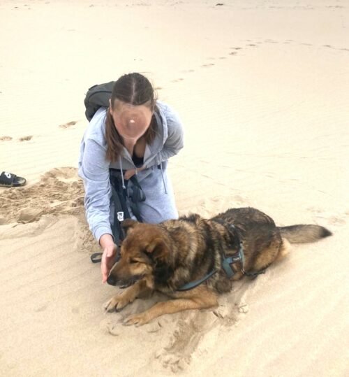 Refuge SPA de La Rochelle et ses environs